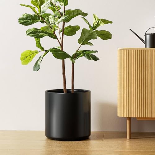 12 Inch Pot for Plants (12 Inch / Black)