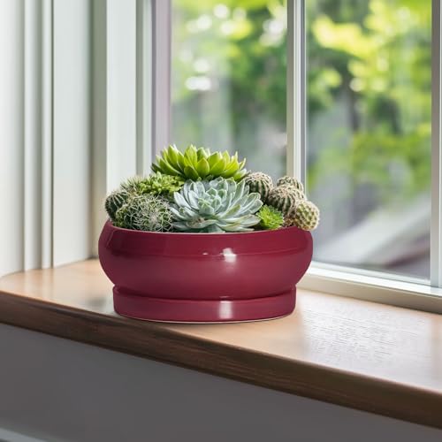 Bonsai Pots 10 Inch (10 Inch / Wine Red)