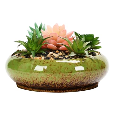 Lotus Bowl Planter (Light Green)