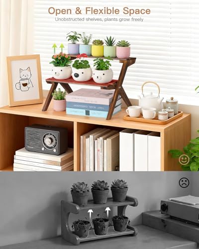 2 Tier Desktop Plant Stand