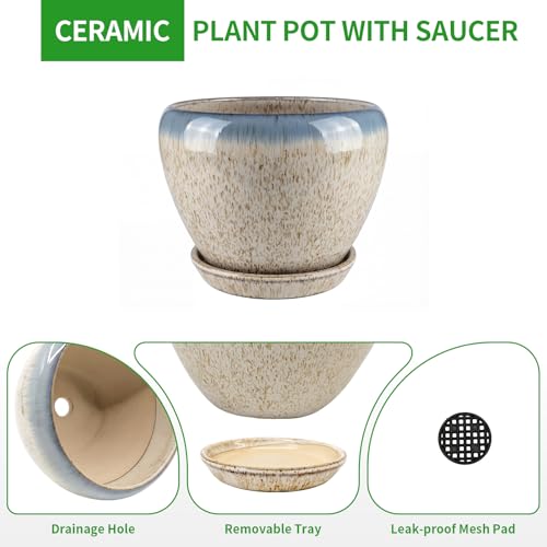 6 Inch Plant Pots