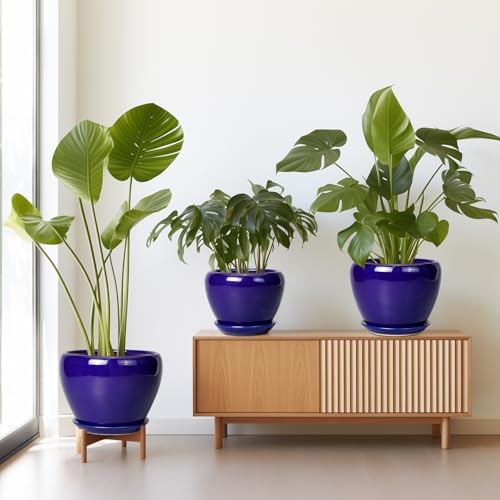 Flower Pots for Indoor Plants (3 Count)