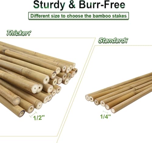 1 2" D 4 Feet Bamboo Stakes 50 Pack (50 Count)