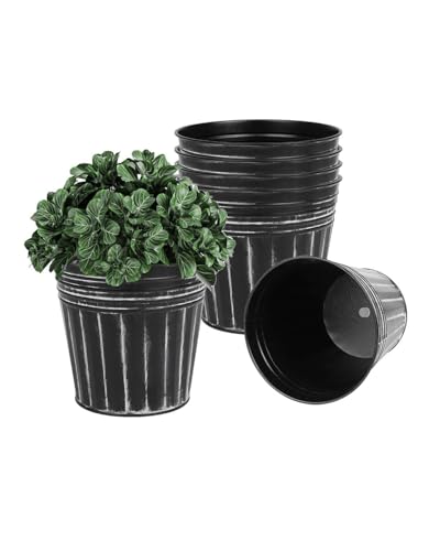 5 Inch Galvanized Bucket Planters (Black / 5 inch)