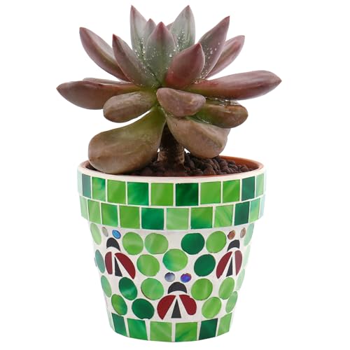Mosaic Terracotta Flower Pot with Ladybug Design (Green)