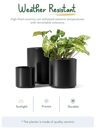10+8+6 Inch Ceramic Pots for Plants (Black)