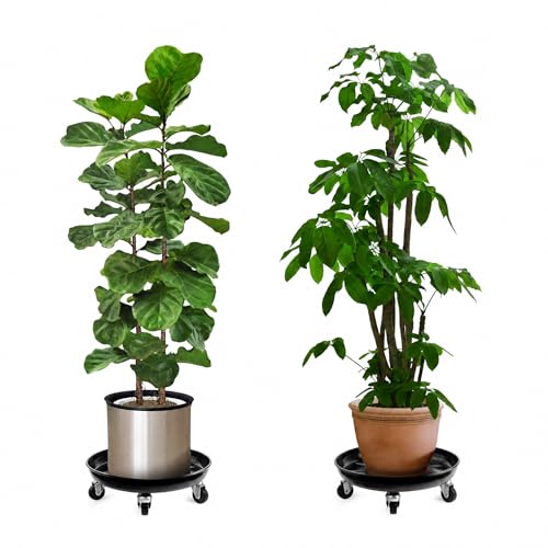 Plant Caddy with Wheels 2 Pack 14" Heavy Duty Plant Stand 330lbs (14)