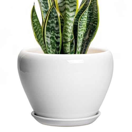 Ceramic Pot for Plants (8 Inch / Glossy White)