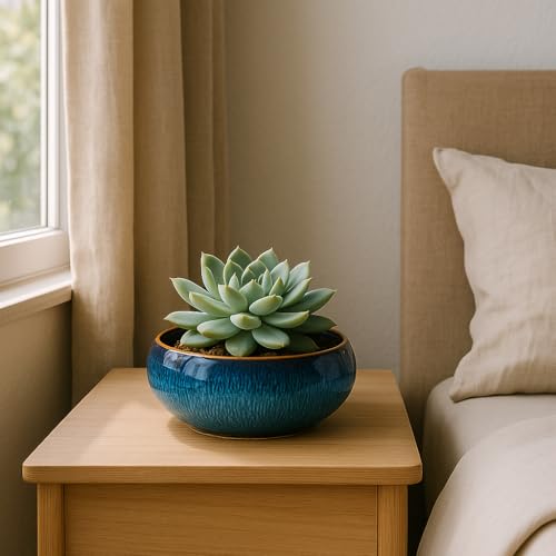 Lotus Bowl Planter (Sky Blue)