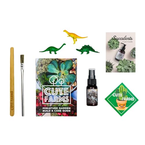Terrarium Starter Kit