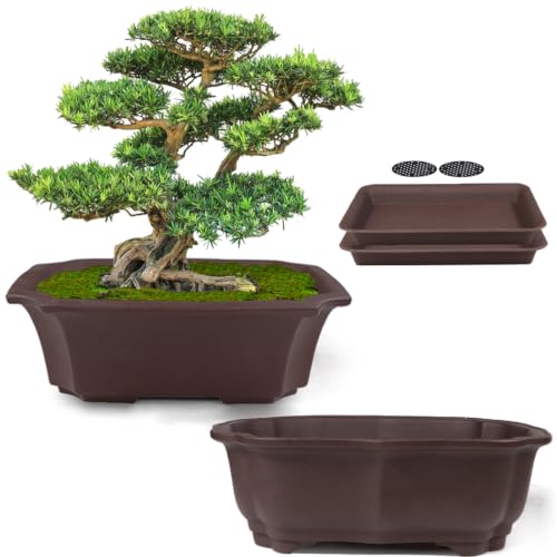 2 Pack 8" Unglazed Ceramic Bonsai Tree Pot Training Planter with Drainage Wiring Hole (2Pcs 8" Rectangle)
