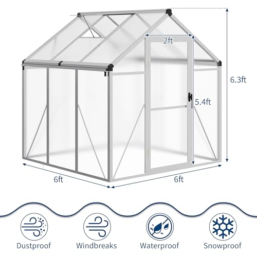6 x 6 FT Greenhouse (Silver / 6x6FT)