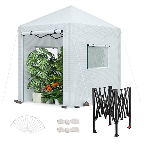 94" x70" x98" Pop (94" Lx70" W x98" H pop up greenhouse(small))