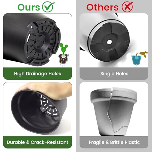 10 Pack 6 Inch Plant Pots with Drainage and Saucers (10 Count)