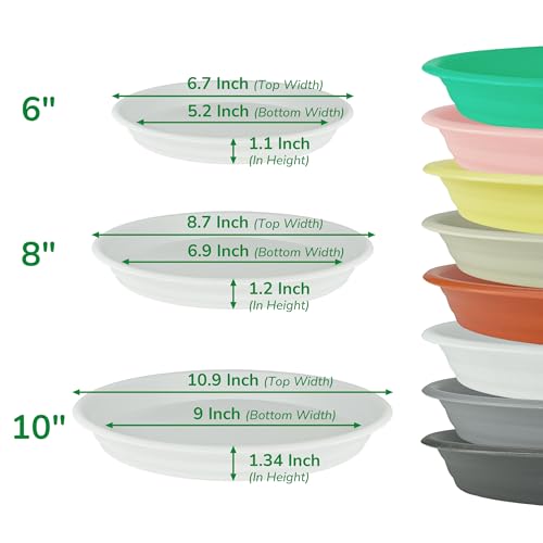 12Pcs Colourful Plant Saucer (12 Count)
