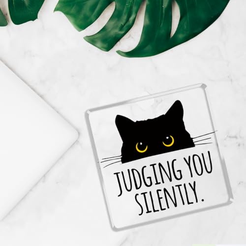 Judging you Silently Funny Sign (Siently)