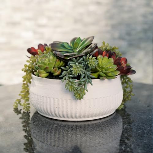 Round Faux Succulent Arrangement (12" Round White)