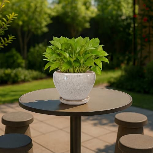 6 Inch Plant Pots (Beige / 6 Inch)