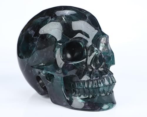 5.0" Fluorite Crystal Skull (5.0 Inches Fluorite 1)