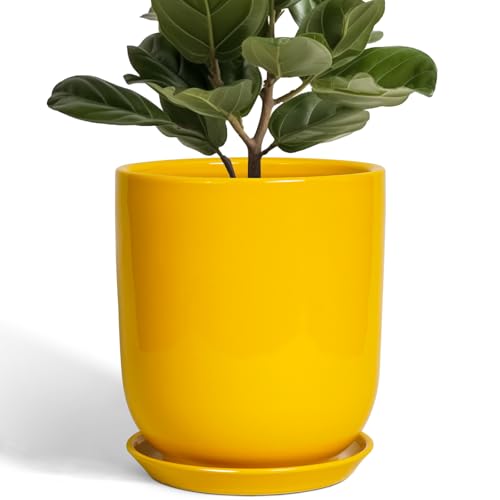 Ceramic Pot for Plants