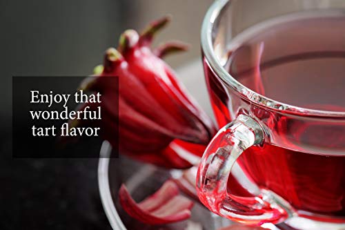 Sorrel Hibiscus Flowers