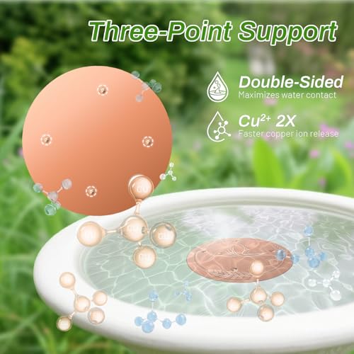 2 Pack Bird Bath Copper Disk (2Pcs)
