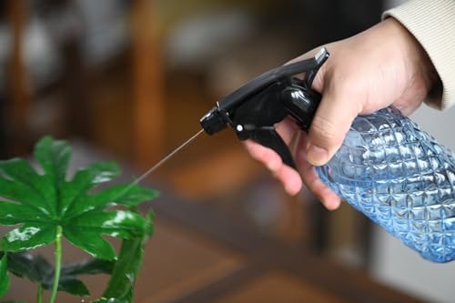 Glass Handheld Spray Bottle
