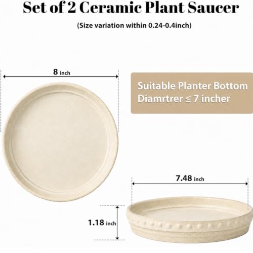 Plant Saucers (Beige White)