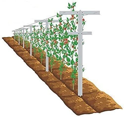 MRGARDEN 7 Feet Grape Vine Trellis 2pcs for Raspberry