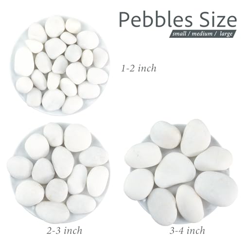 River Rocks 40lbs White Pebbles for Indoor Plants