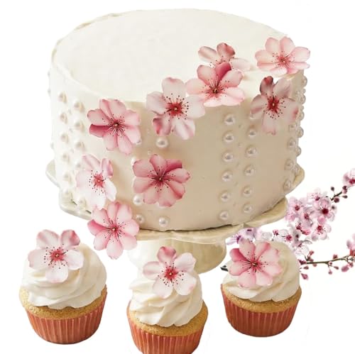 NEW Sugar Robot (Pink / Flowers)