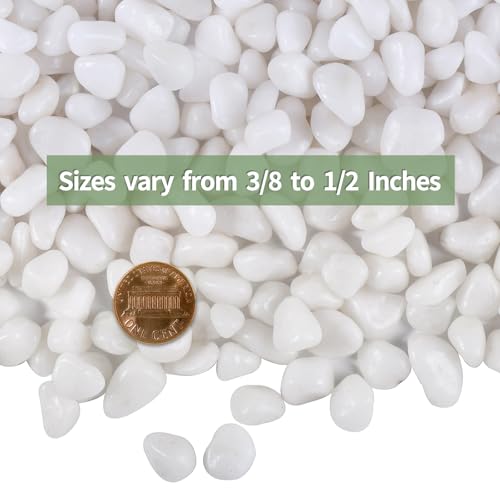 10 LB White Pebbles for Plants