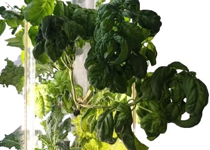 The Hydro Tower® Hydroponic Tower with Integrated Lighting and Watering Systems | Simple Setup | Easy Upkeep | Fast Growth (36 Plants)