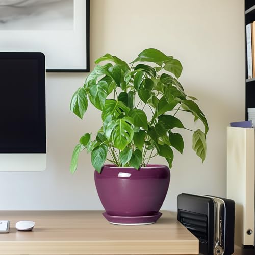 Ceramic Pots for Plants 6 Inch (6 Inch / Purple)