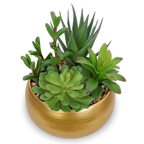 Fake Plants Artificial Succulents in Pots Faux Succulent Arrangement Potted Plant with Gold Ceramic Planter Bowl for Home Decor Office Desk Bathroom Shelf Living Room Indoor Decorations (Matte Gold)