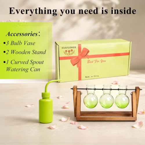 Plant Terrarium Kit with Wooden Stand 3 Gradient Green Bulb Vases (Green)