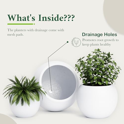 Fiberstone Sphere Planter for Olive Trees (White / Medium 16.1''D x 13.6''H)