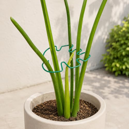 5PCS Monstera Plant Stem Support (5 Count)