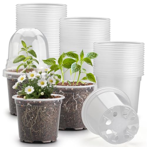 60 Pack Clear Nursery Pots with Humidity Domes (4 Inch Clear Pots With Domes-60p / 4Inch)