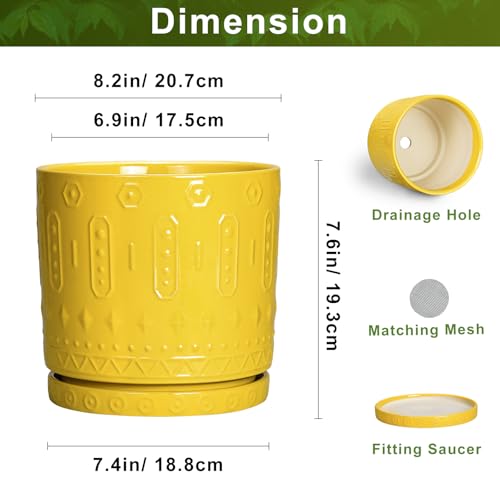 8 Inch Plant Pot (8 Inch / Yellow)