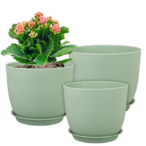 Medium Plant Pots 10 (3 Count)