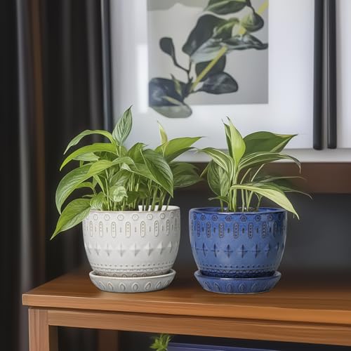Ceramic Plant Pot