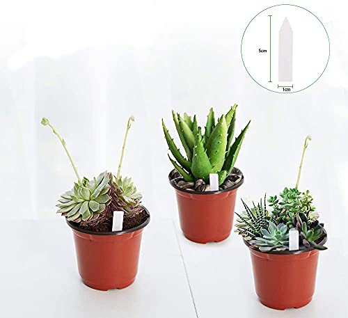 100 Pack 4 Inch Plastic Plant Nursery Pots Come with 100 Pcs Plant Labels (4 Inch)
