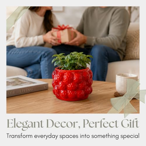 Fruit Inspired Planter for Indoor and Outdoor Display (Red / 5")