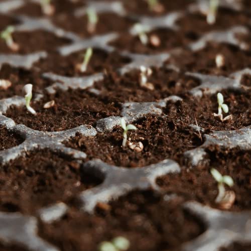 Coco Coir Brick for Plants (27Pack)