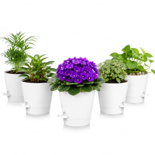 5 Pack 5 Inch African Violet Pots Self Watering (White / 5 inch 5 pcs)