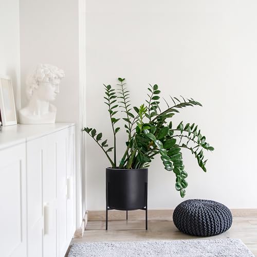 Cylinder Planter Pot with Metal Stand (X-Large 14 Inch / Black)