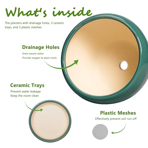 Ceramic Pots for Plants (10+8+6 Inch / Dark Green)