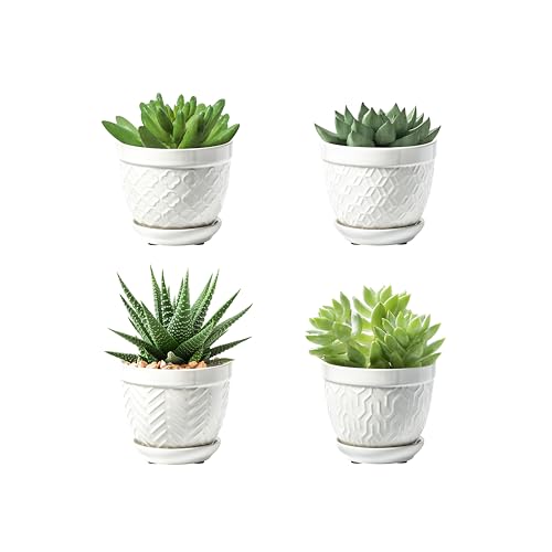 Sureasy Succulent Pots (4 Count)