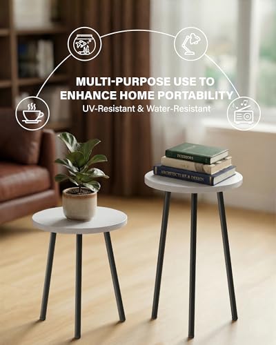 Plant Stand Indoor 2 Pack